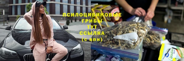apvp Михайлов